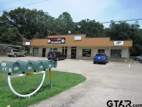 Mineola Investment Property For Sale