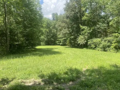 Unrestricted Land Near Lake Cumberland