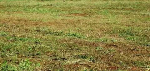 Fort Worth Vacant Land Opportunity