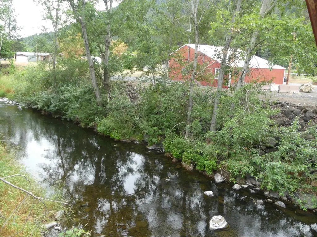 Picture 7