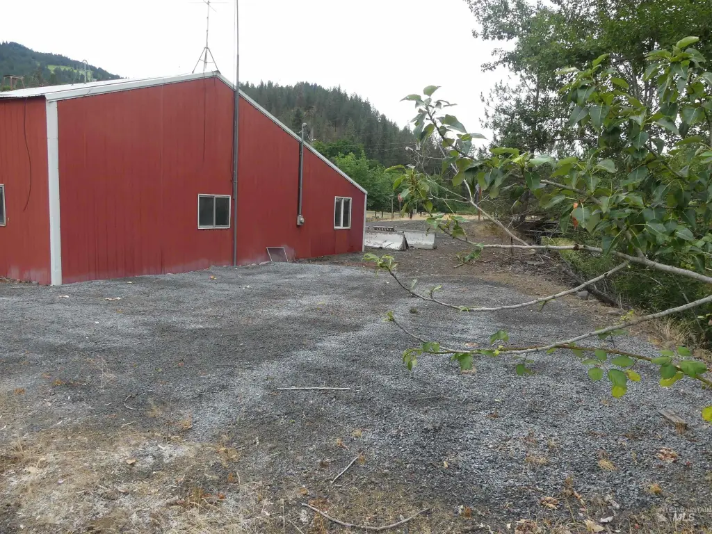 Picture 14