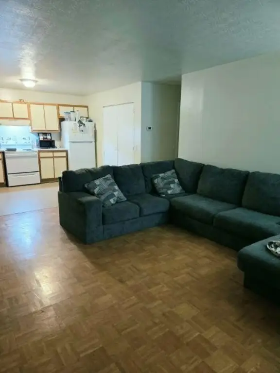 Picture 11