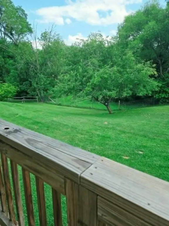 Picture 15