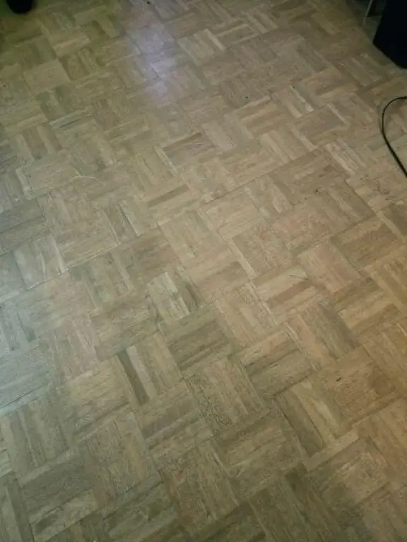 Picture 12