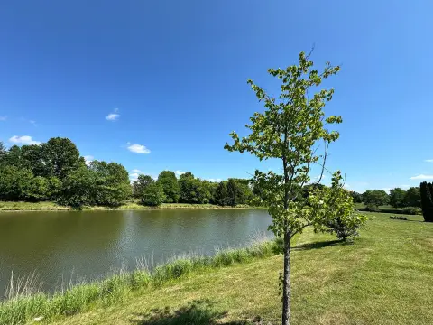 Waterfront Lot in Sunset Views