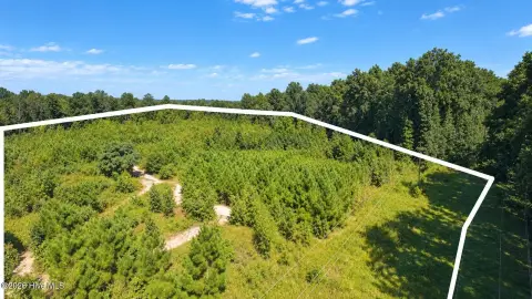 Wooded Land with Road Frontage