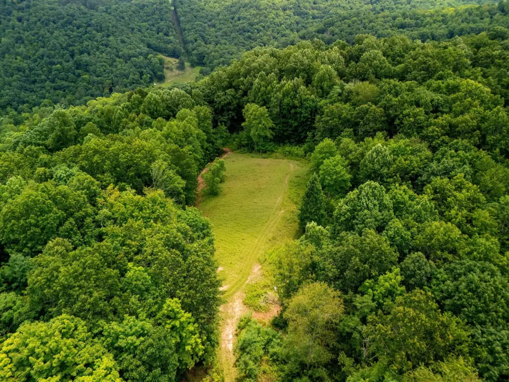 Picture 16