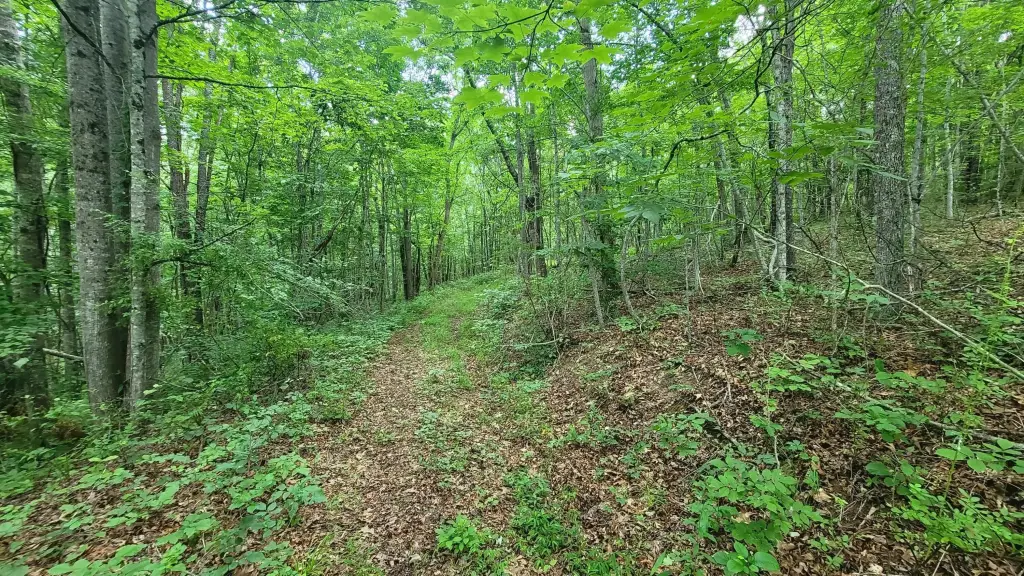 Picture 24