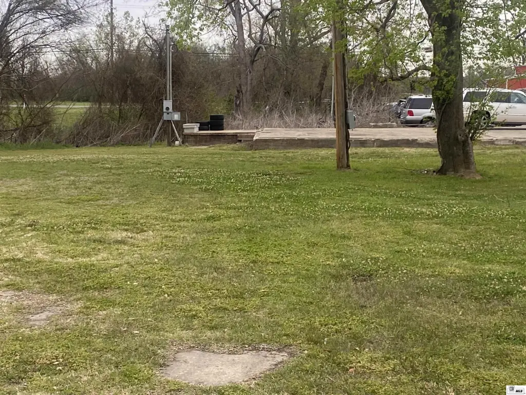Picture 6