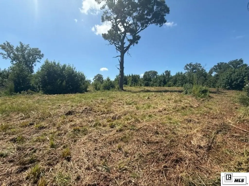 Picture 26