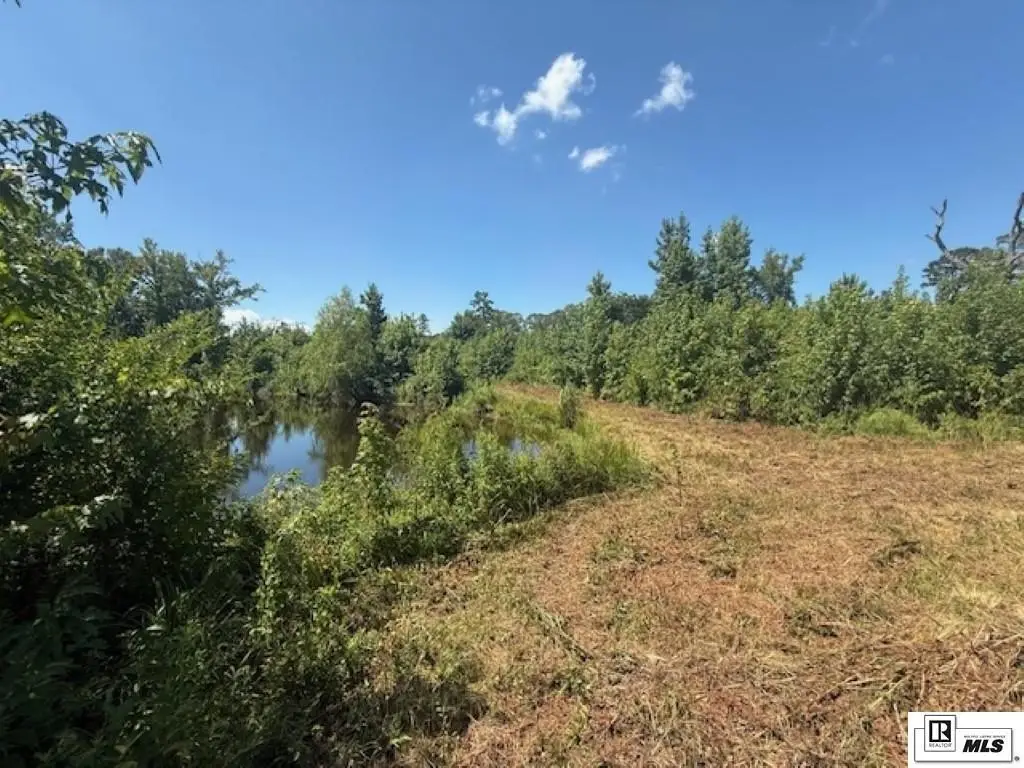 Picture 46