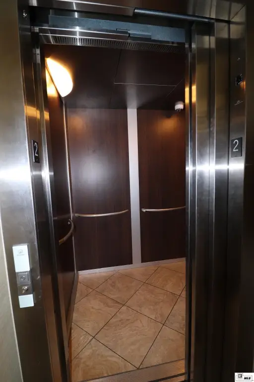 Picture 5