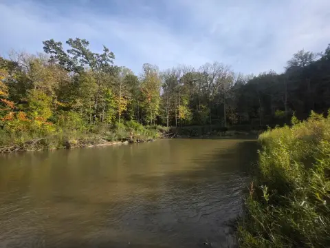 Wooded Recreational Land