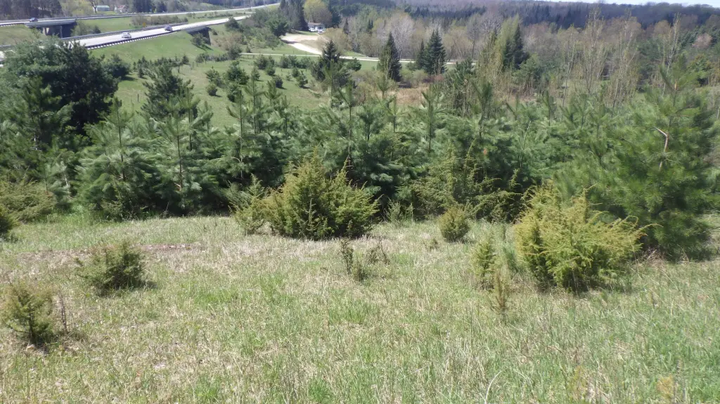 Picture 4