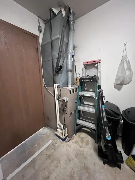 Picture 5
