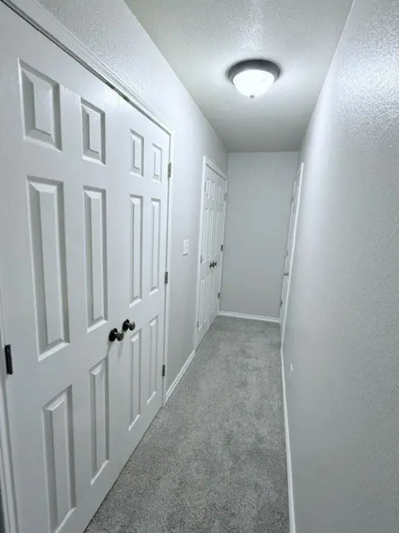 Picture 28