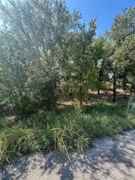 Residential Land in Mineral Wells