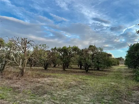 Buildable Land with Scenic Views