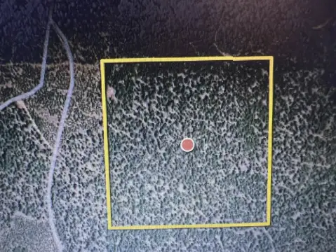 Quincy, CA Vacant Wooded Land