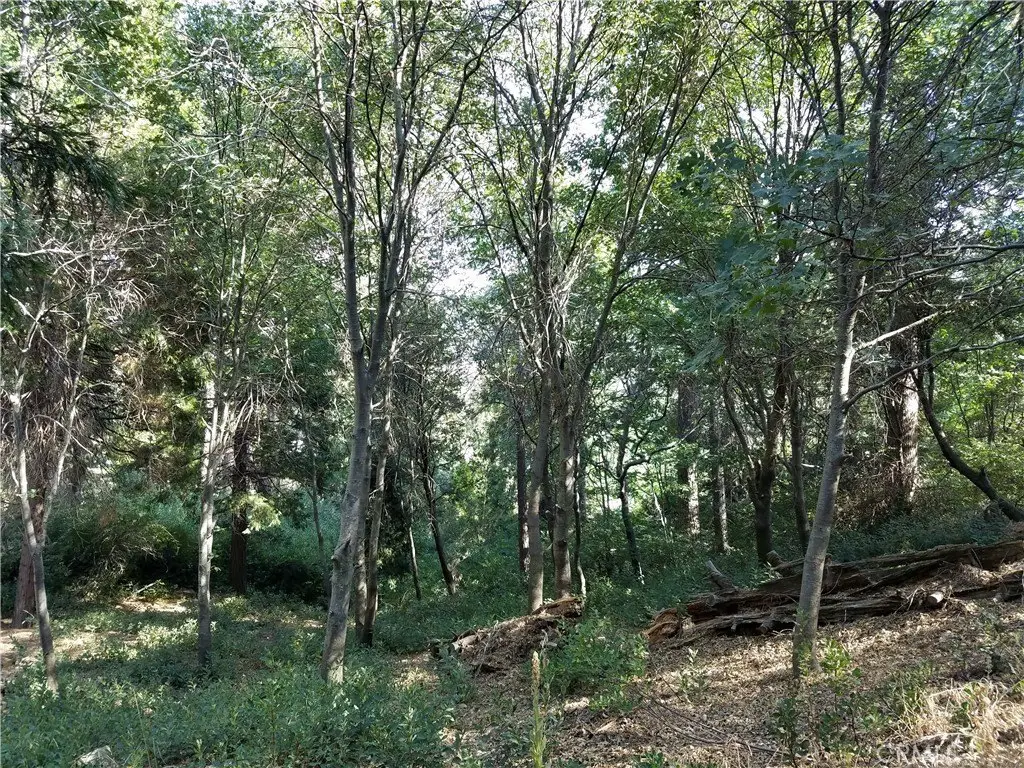Picture 16