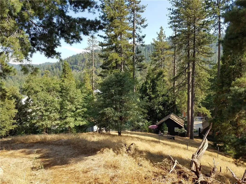 Picture 10
