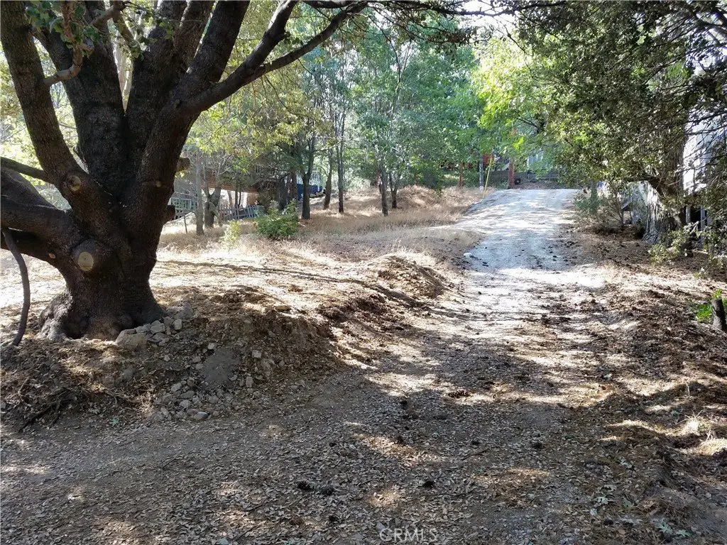 Picture 13