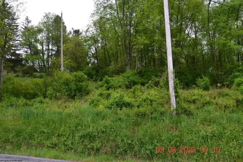 Residential Land in Grafton, WV