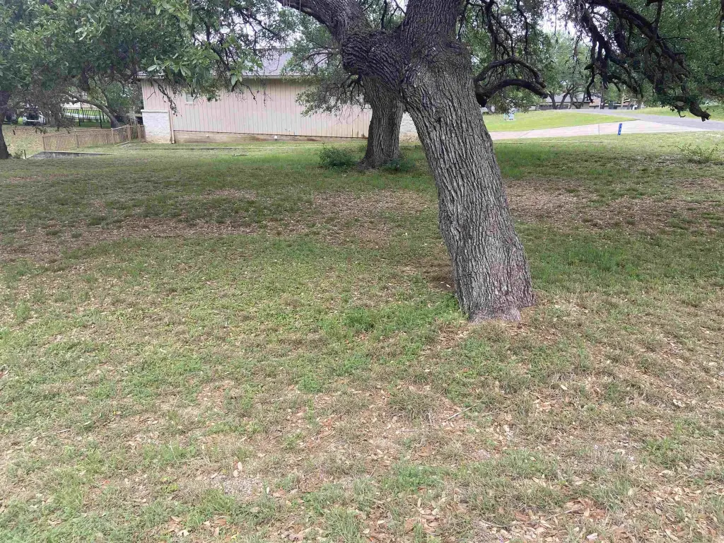 Picture 15
