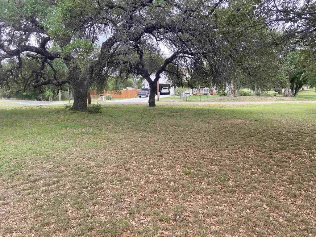 Picture 11