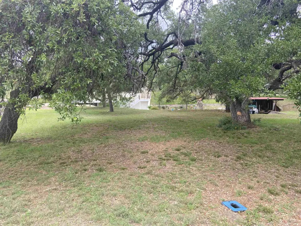 Picture 18