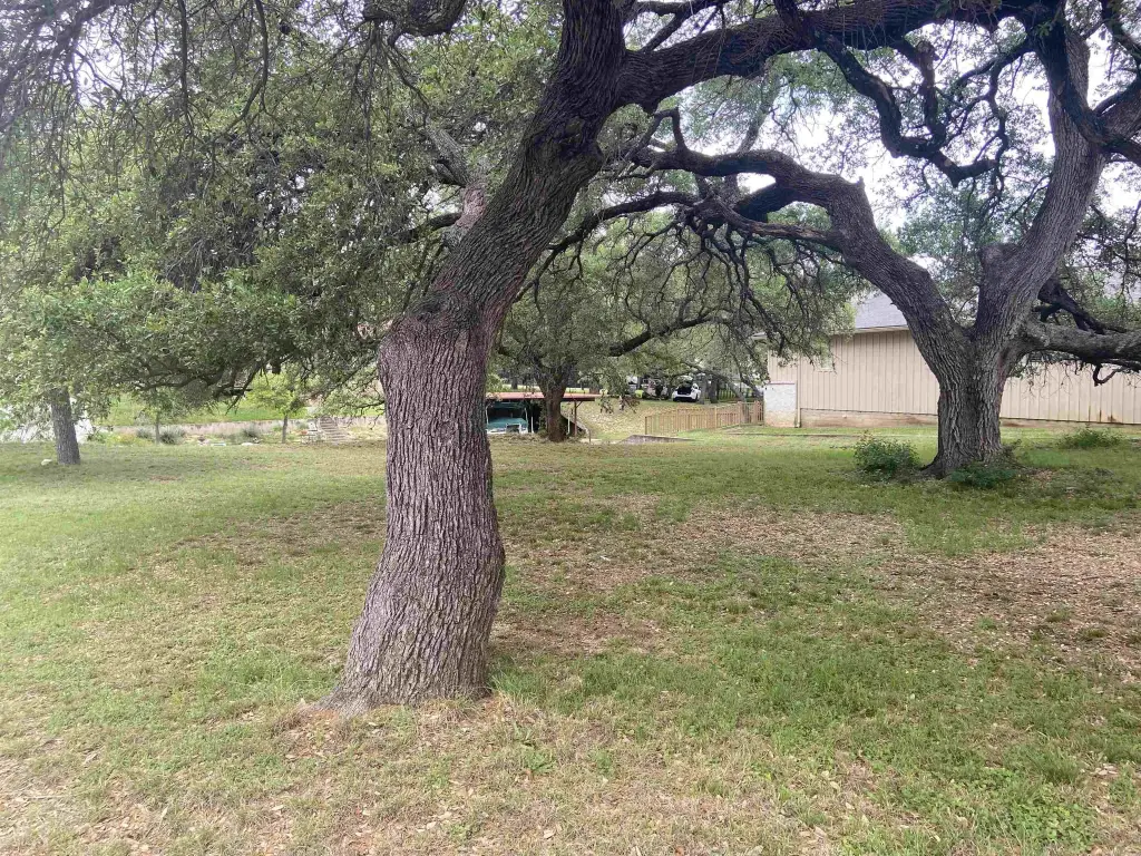 Picture 16