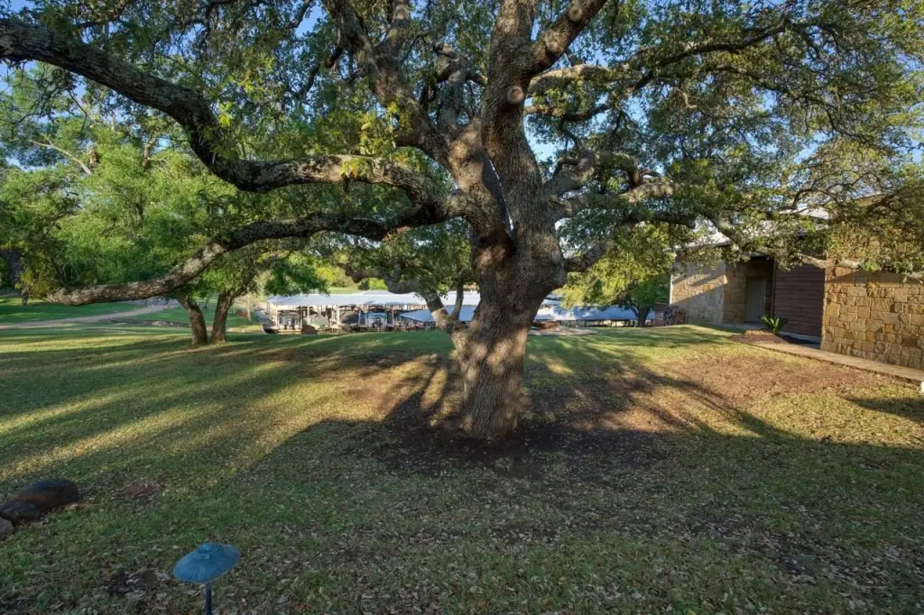 Picture 14