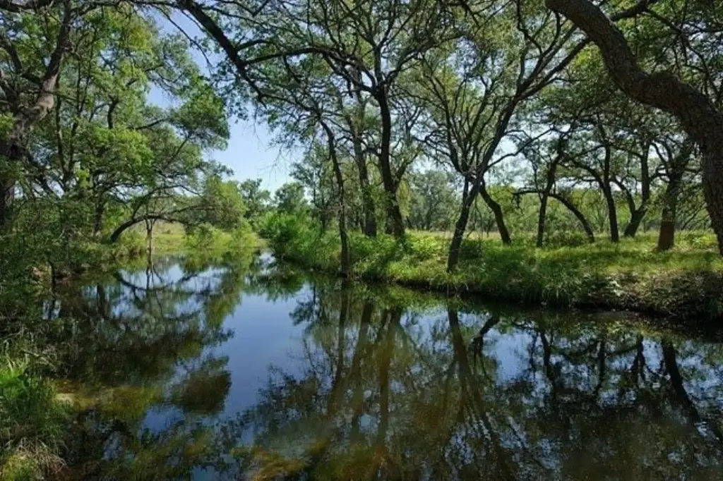 Picture 22