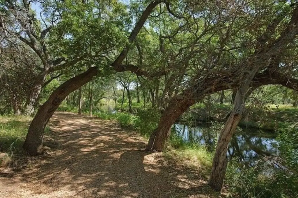 Picture 21