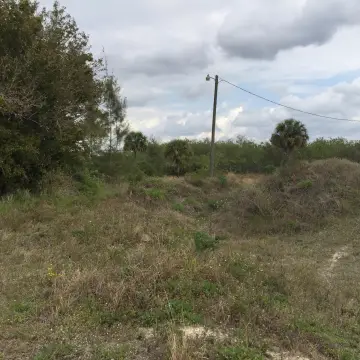 Partially Cleared Agricultural Land