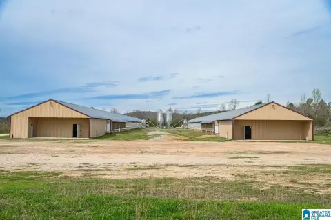 Updated Breeder Farm on 28 Acres