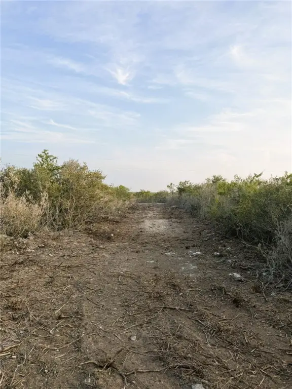 Picture 16