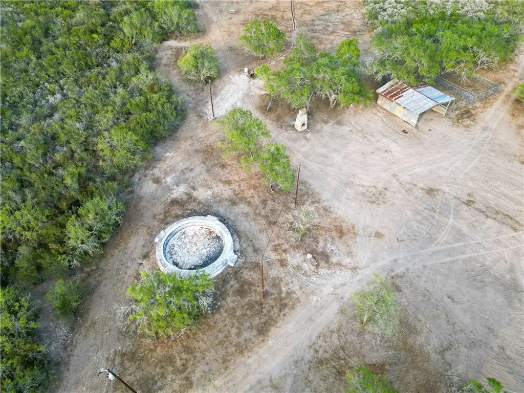 Picture 3