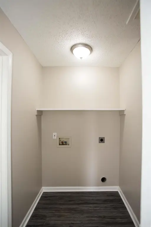 Picture 12