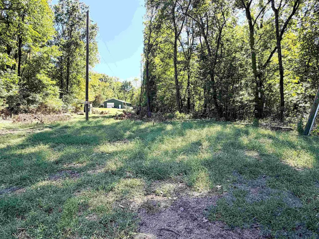 Picture 27
