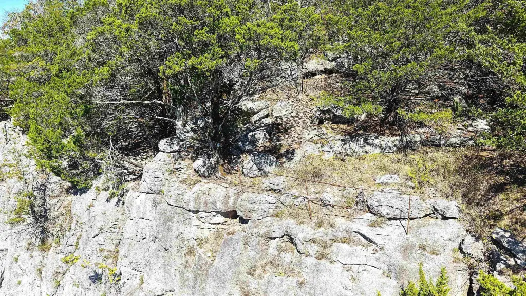 Picture 23