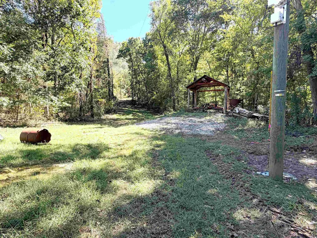Picture 10