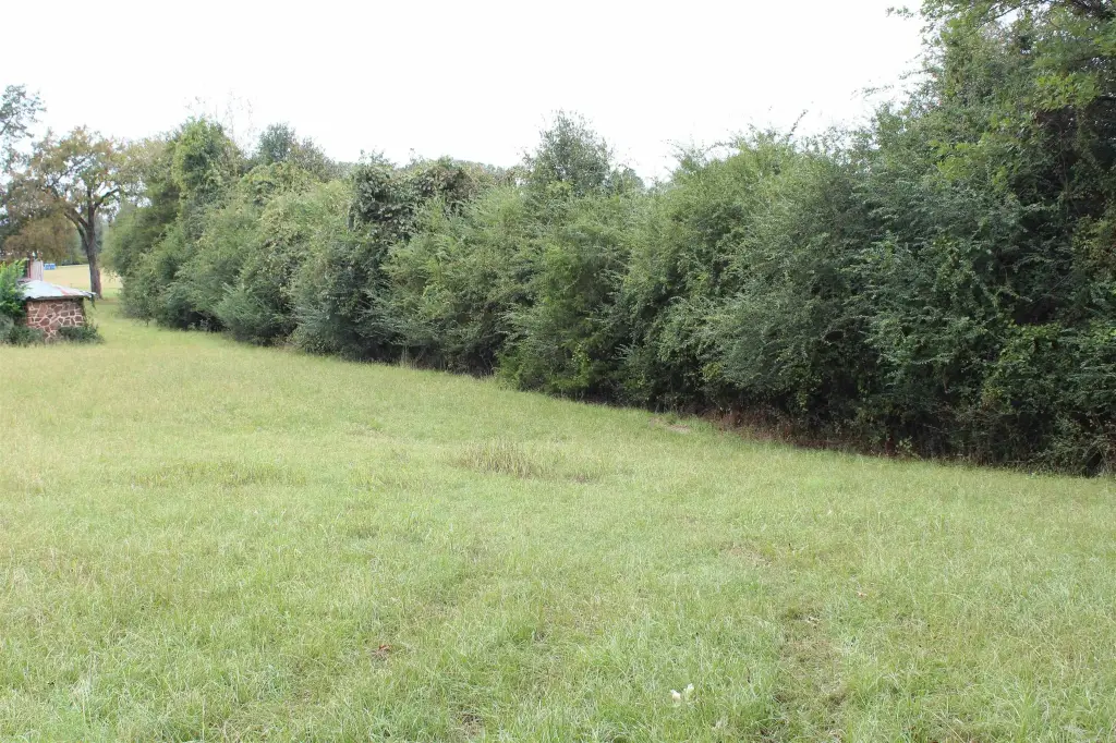 Picture 42