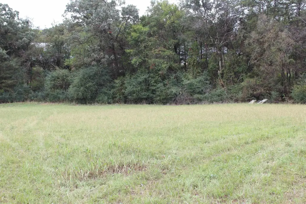 Picture 15
