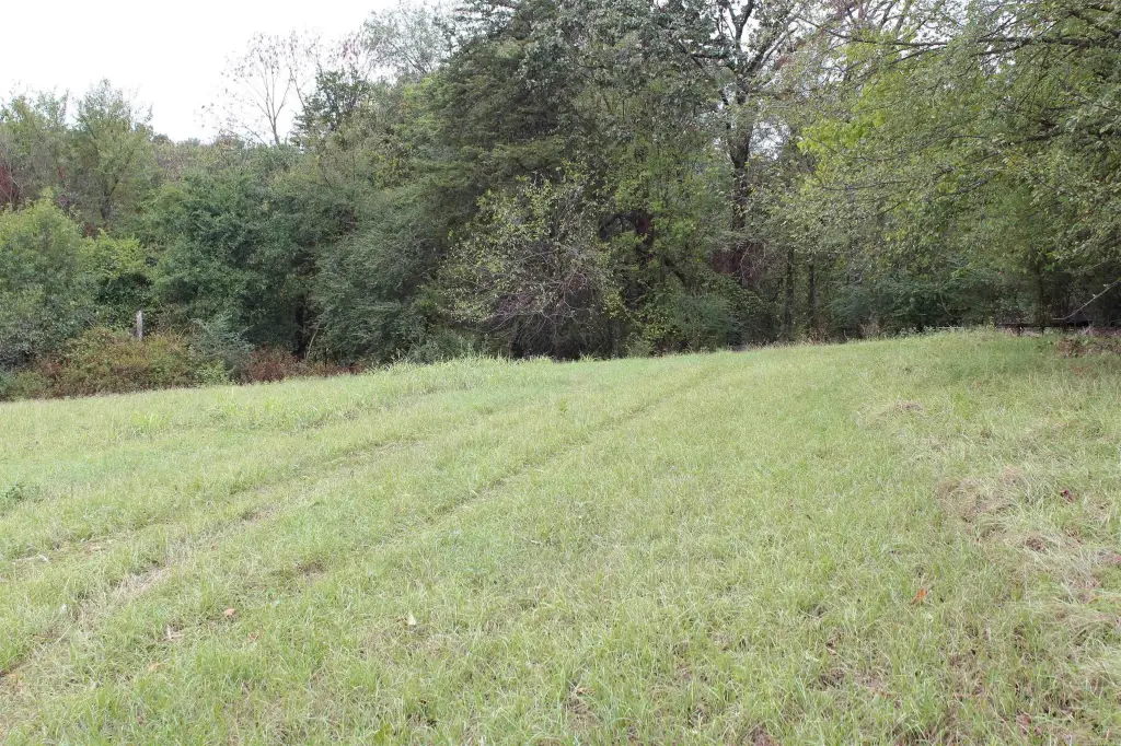 Picture 14