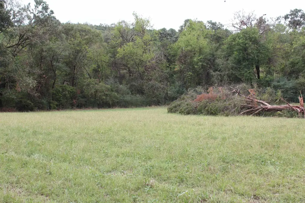 Picture 16