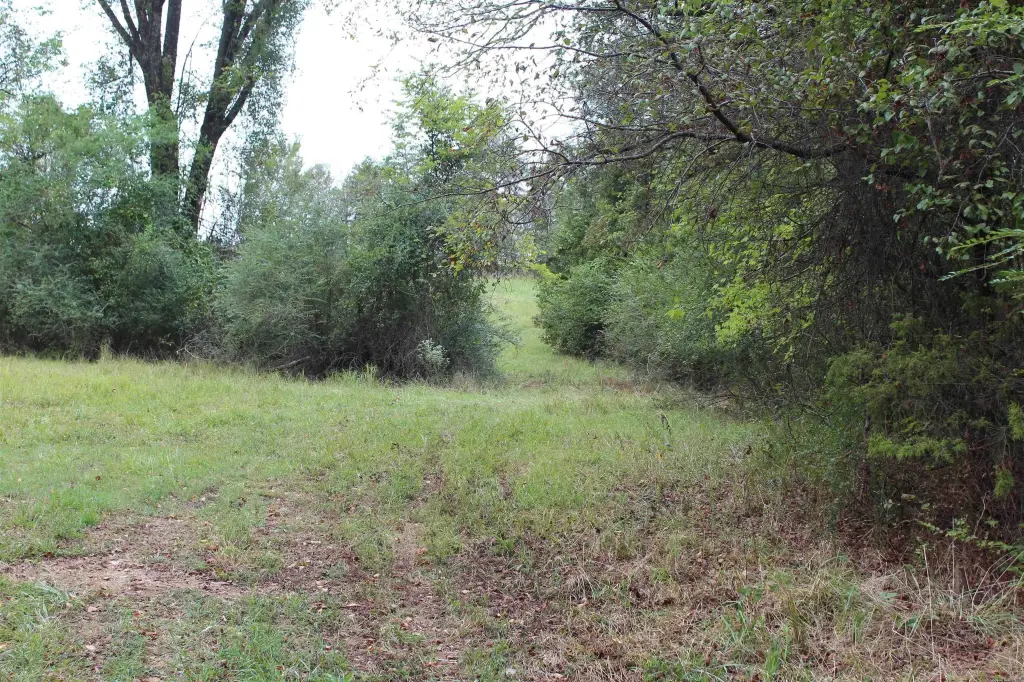 Picture 38