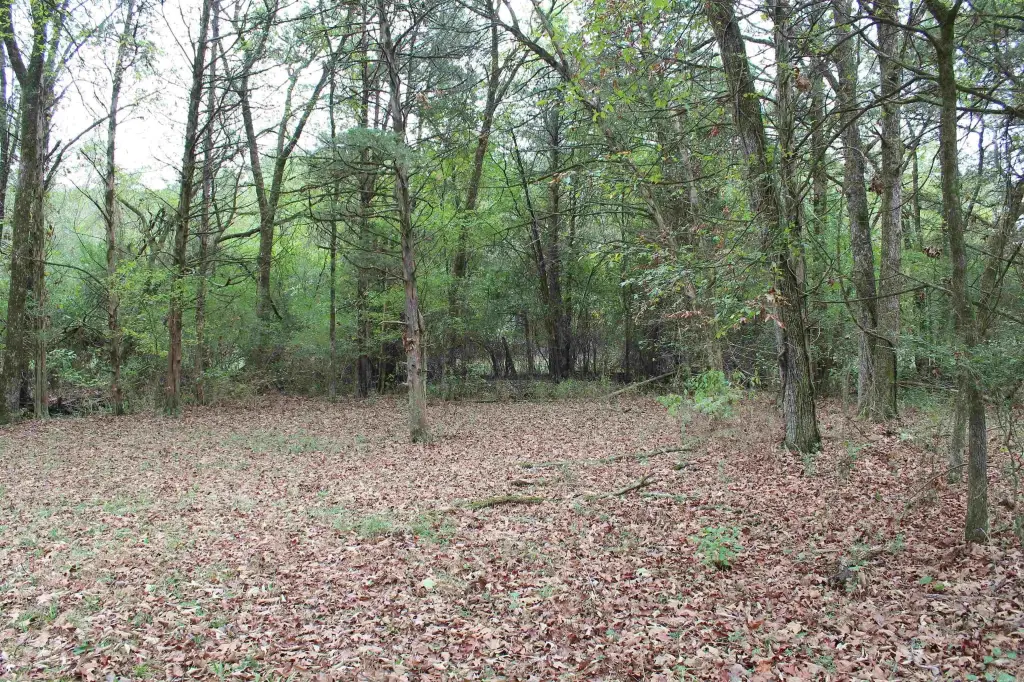 Picture 22