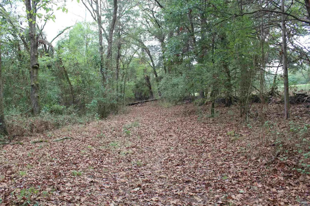 Picture 19