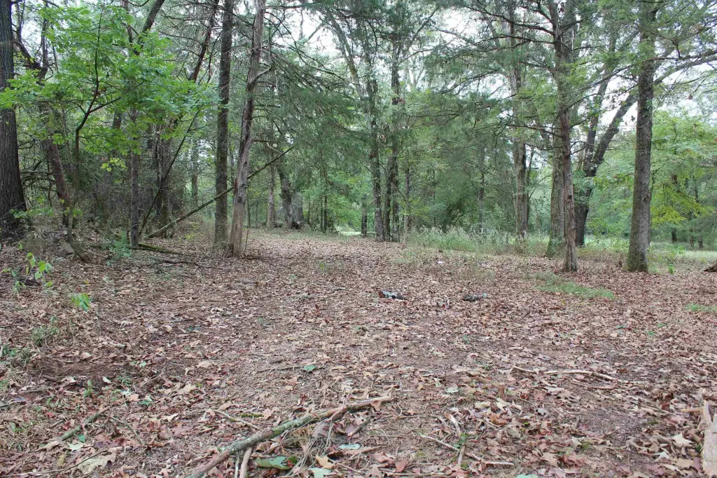 Picture 20
